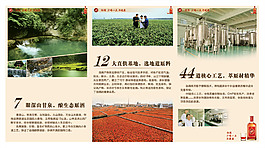 中国劲酒三折页