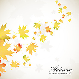 秋天的落叶背景与文本空间