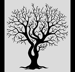 植物素材AE模板源文件