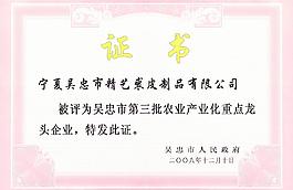 证书模板