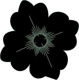 花的轮廓