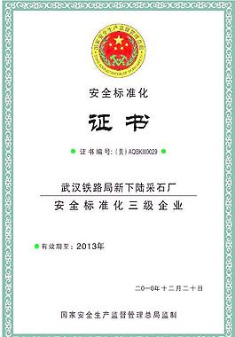 安全标准化证书