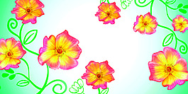 鲜花