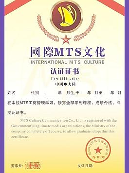 国际MTS商学院 证书