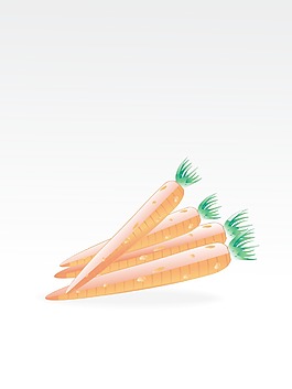 背景：胡萝卜