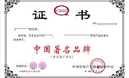 中国著名品牌