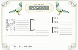 鸽子血统书