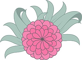 花剪辑的艺术载体