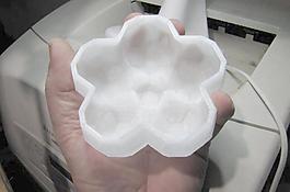 buckybowl