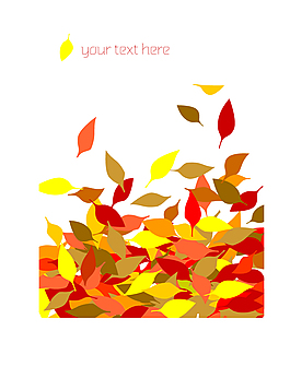 彩叶飘落堆积图片