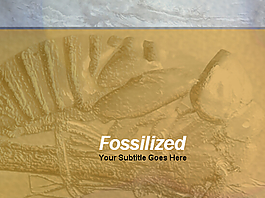 化石ＰＰＴ模板