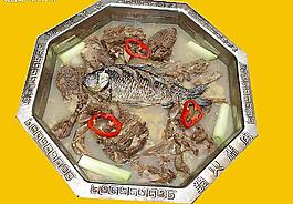 清蒸鱼肉火锅