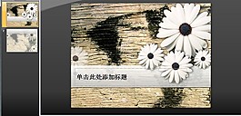 白菊花怀旧木纹PPT模板