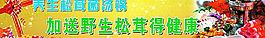 松茸菌汤