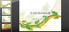 七星瓢虫与绿叶PPT模板