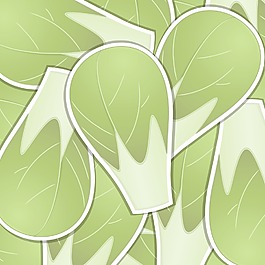 抱子甘蓝标签卡矢量格式