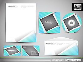 专业的企业形象套件或商业试剂盒