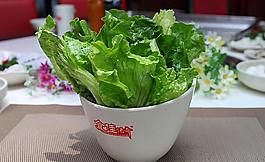 生菜