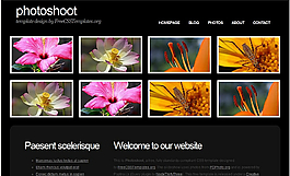 拍摄图片信息网页模板