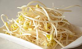 豆芽