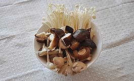 香菇