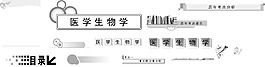教辅小标题