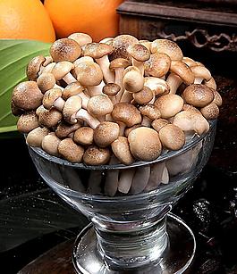 蟹味菇