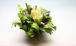 金鼎菜篮