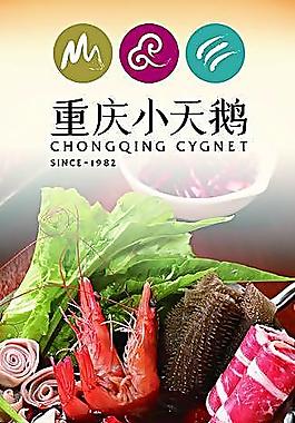 重庆小天鹅展架