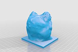 青蛙面具扫描