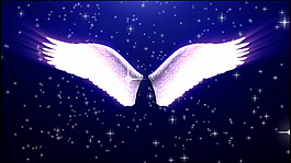 天使翅膀 动态