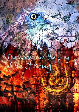 老鹰psd背景底图