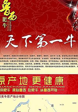 天下第一牛