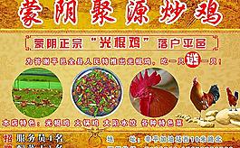 炒鸡