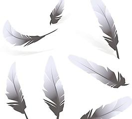 漂亮羽毛矢量素材1