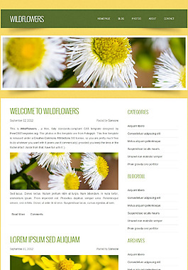 产品信息介绍网页设计