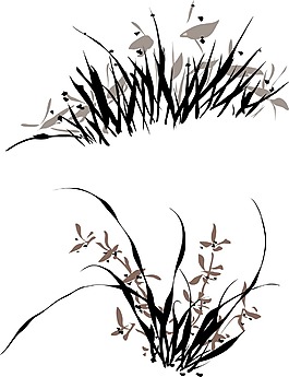 线描兰花