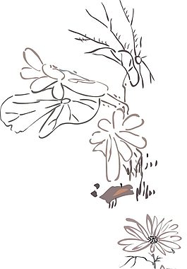 线描荷叶