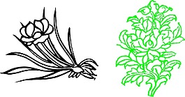 线描花卉