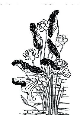 荷花图案