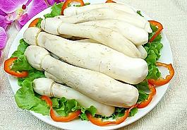 鸡腿菇
