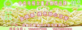豆芽车贴