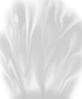 59464_肌理油彩_生物理