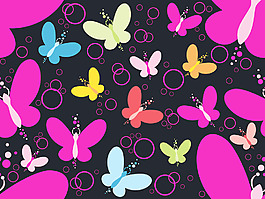 五彩缤纷的蝴蝶在黑色的背景