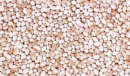 65006_肌理油彩_生物理