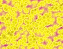 37580_墙面_油彩墙面