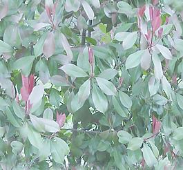 31847_自然材质_草地