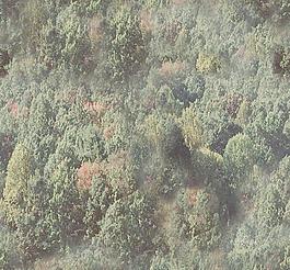 31856_自然材质_草地