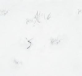 30357_自然材质_冰雪