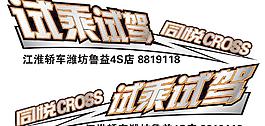 试乘试驾车贴